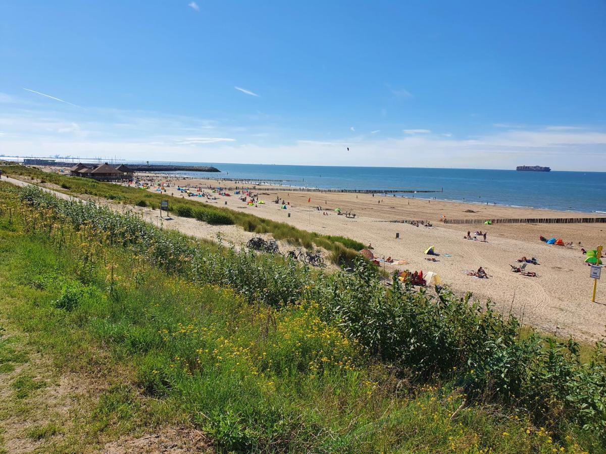 شقة Le Normandy 5Star كادزاند المظهر الخارجي الصورة